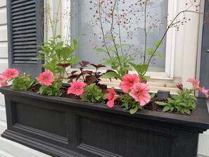 Beautiful flowers in all of the window boxes 