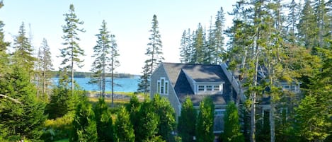 Front of house nestled in trees open to ocean in rear.