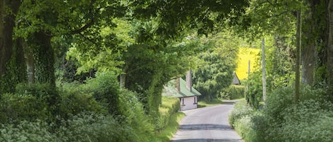 Our tunnels of trees make this one of the prettiest places in Cork.