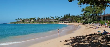 Napili Bay