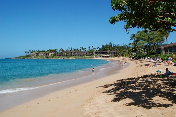 Napili Bay