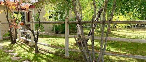 Front yard and 
entry to The Suite