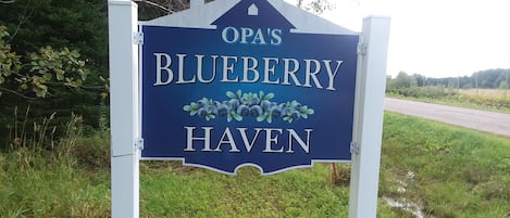 Welcome to Opa's Blueberry Haven - no cleaning fee..!!