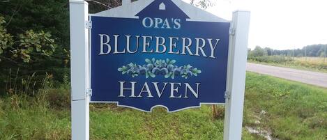 Welcome to Opa's Blueberry Haven - no cleaning fee..!!