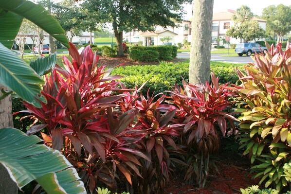 Come and relax in our paradise!