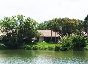 Back yard, rods and reels in garage. Lures for snook, dough balls for tilapia.