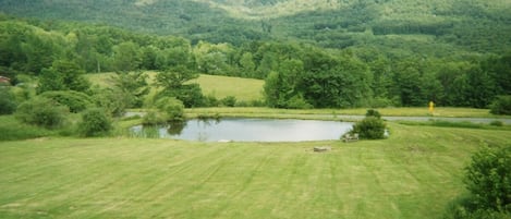 view from living room and deck