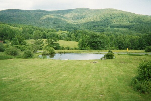 view from living room and deck