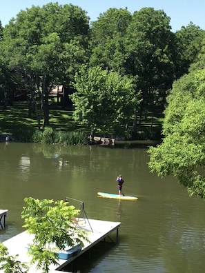 Paddle Boarding in the Cove.