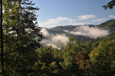 View from the front porch