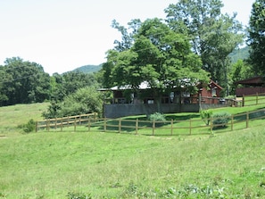 The cabin  showing the fenced backyard.