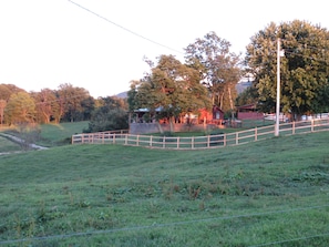 Another view of the cabin and backyard fence