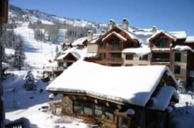 PRIME Location Powderhorn Ski In/Out, Premium Slope and Village Views
