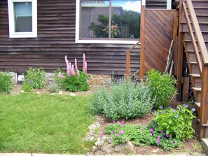 outside shower and garden area