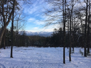 Snowy View from porch