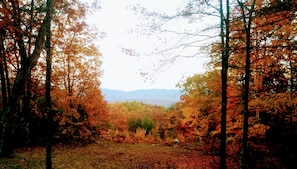 Fall View From Porch