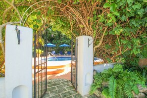 A look into the tropical pool deck