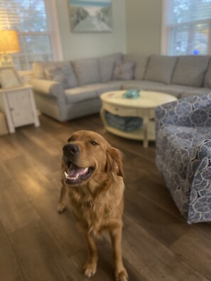 Dog-Friendly Home: Welcome up to 2 dogs w/fenced yard & pet station. 