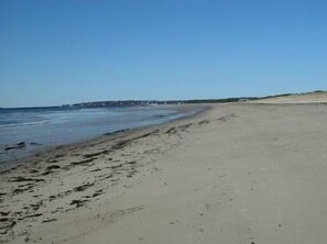 Undeveloped Scarborough Beach Over a Mile Long