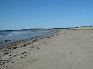 Undeveloped Scarborough Beach Over a Mile Long