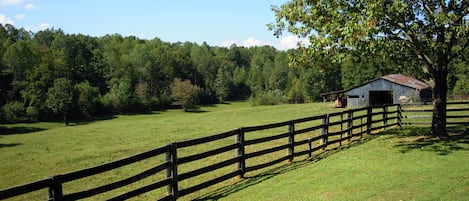 View From Back Deck (To the West)