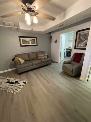 Basement Area Pic 3