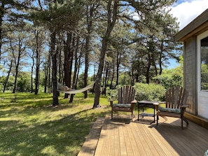 Hammock and large back deck