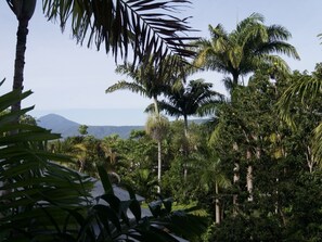 Terrenos do alojamento