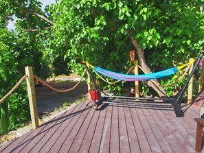 Hammock under the tree