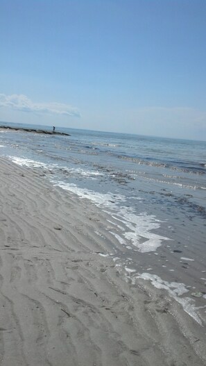 Chapin's Beach