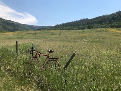 Cozy Cabin at the Base of Rabbit Ears Pass