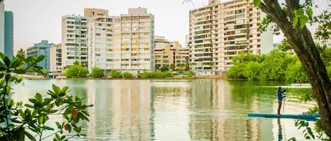 Apt located on front of the Laguna del Condado