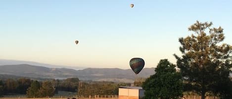 Morning Balloons