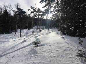 Skidåkning och snöaktiviteter