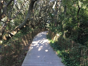 Path to cottage at the end of 89th Street