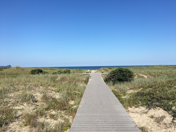 Pathway to beach