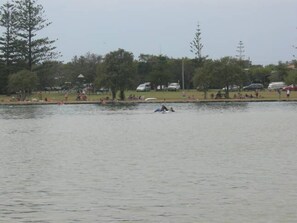 High tide on the river - great place to swim, float and relax