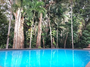 The property overlooks a rainforest of paperbark trees