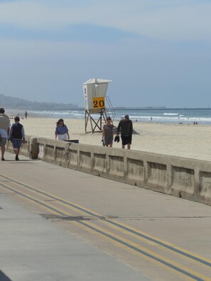 view along boardwalk (six steps from the house)