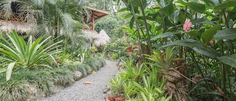 Lush gardens with meandering paths