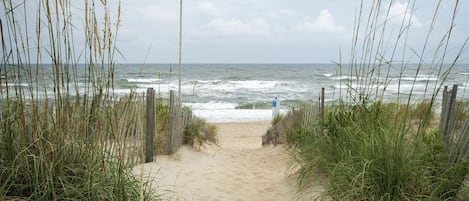 Our beach at Oyster Catcher Lane
Photos by Chris Johnson, returning guest at TSL