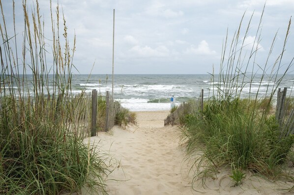 Our beach at Oyster Catcher Lane
Photos by Chris Johnson, returning guest at TSL