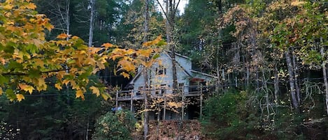 A view of the house from the driveway as you cross over the creek. 