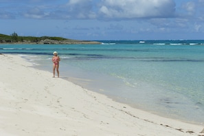 The beach in front of the house