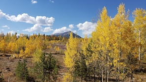 View from deck