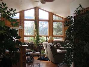 Beautiful views & large open floor plan with many lush house plants