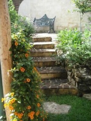 view up to the upper terrace