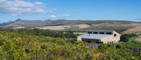 Oxalis Cottage amongst the fynbos