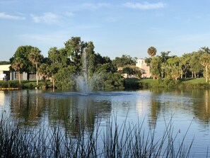 Fountain at Orange Lake