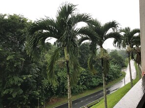 Vue depuis l’hébergement